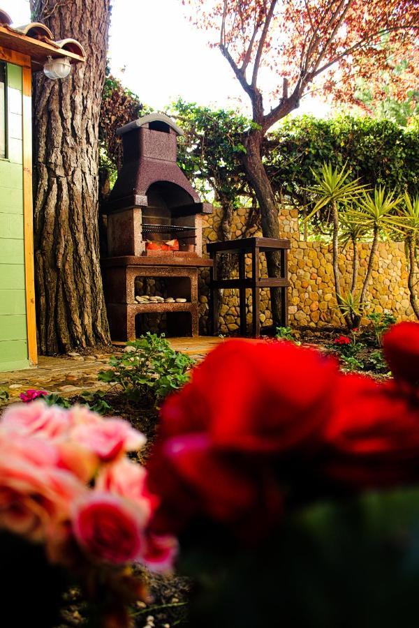 La Casa Di Nonno Giulio Bed and Breakfast Porto SantʼElpidio Exteriör bild